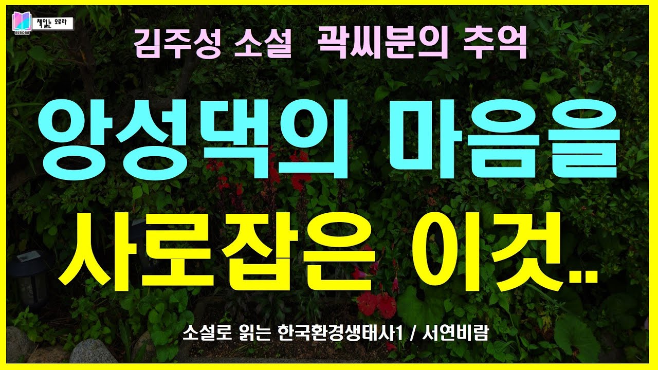 앙성댁의 마음을 사로잡은 이것. 여자들 마음을 들뜨게할 괴물인 이것은... | 곽씨분의 추억 - 김주성 단편소설 | 소설로 읽는 한국환경생태사1 - 서연비람 | #책읽는오로라
