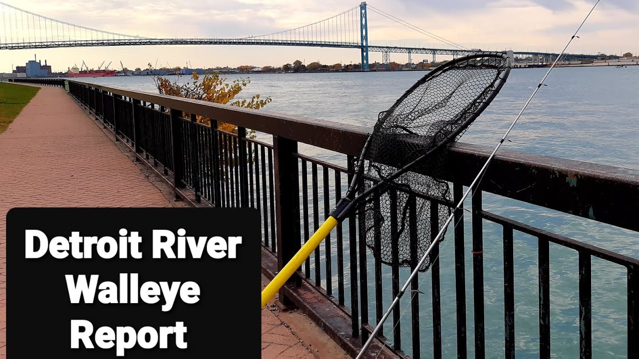 Detroit River Walleye Report. Sunday October 27th, 2024. Bonus Fish Caught.