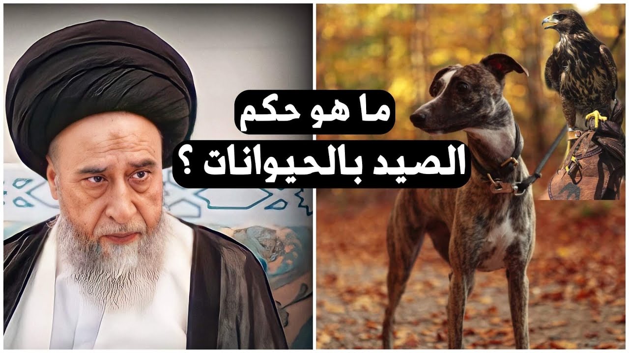 ما هو حكم الصيد بالكلب والصقر ؟ | السيد صباح شبر