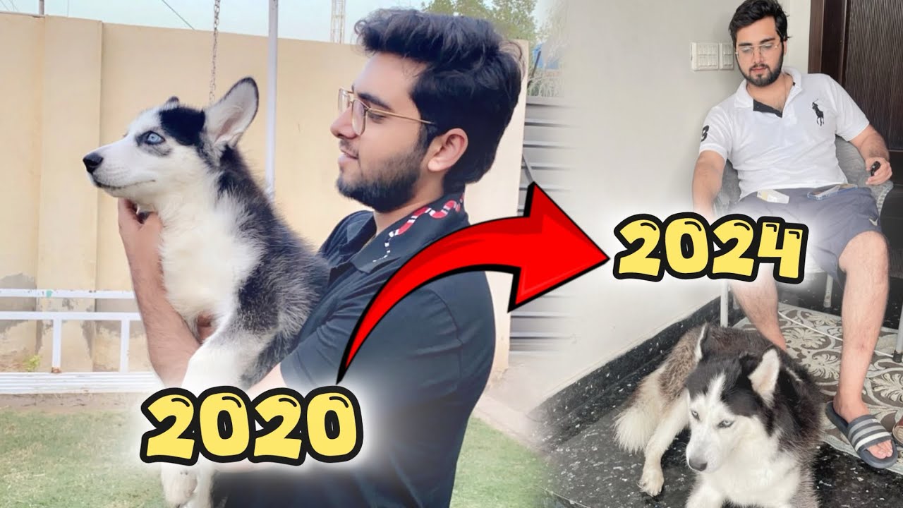 Recreation of 2020 video gone wrong 😂