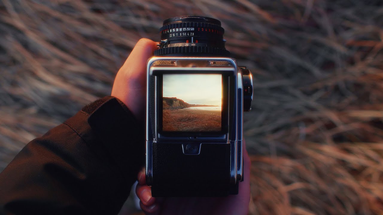 Relaxing Film Photography ｜Hasselblad 500C/M｜POV