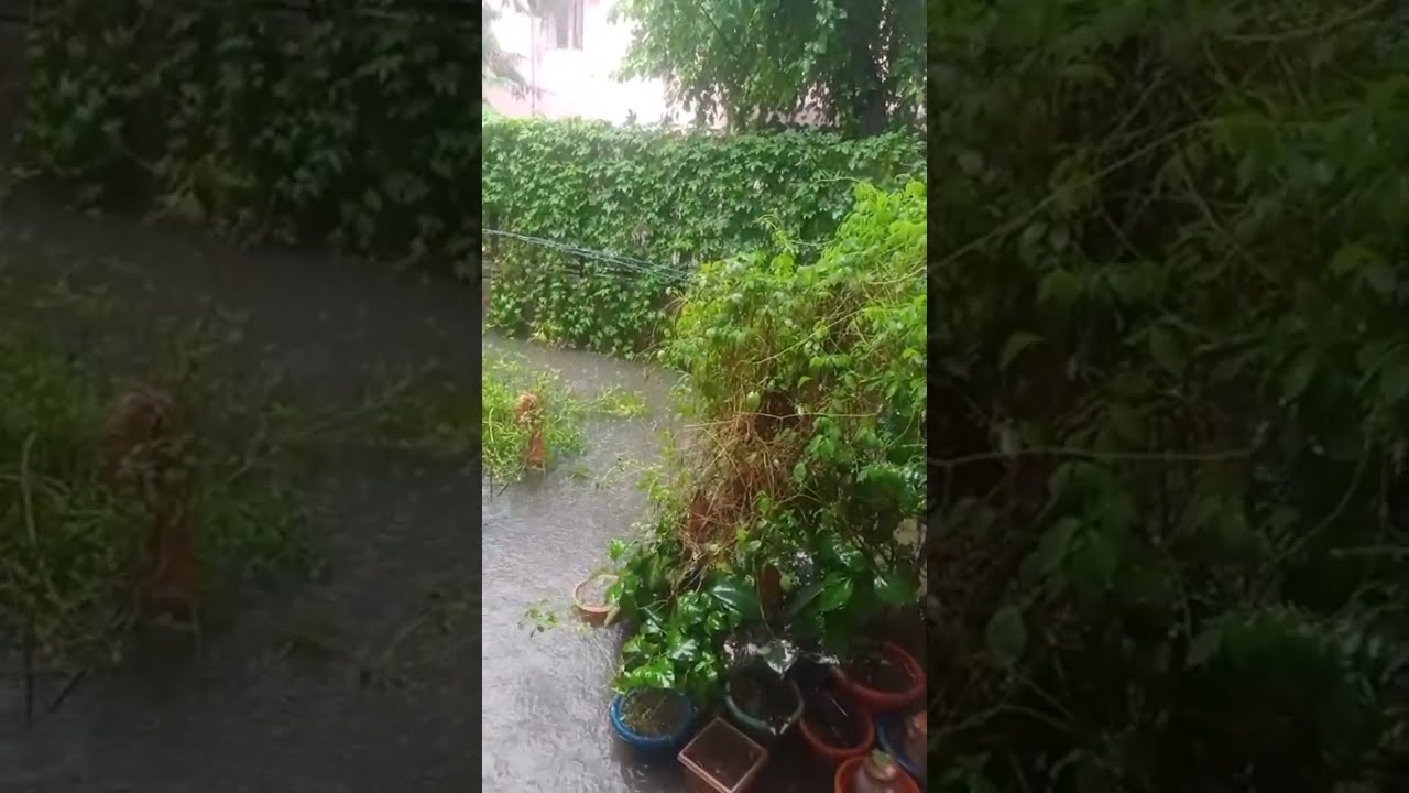 Barsat ka mausam Miscellaneous Jolly Chaps is live