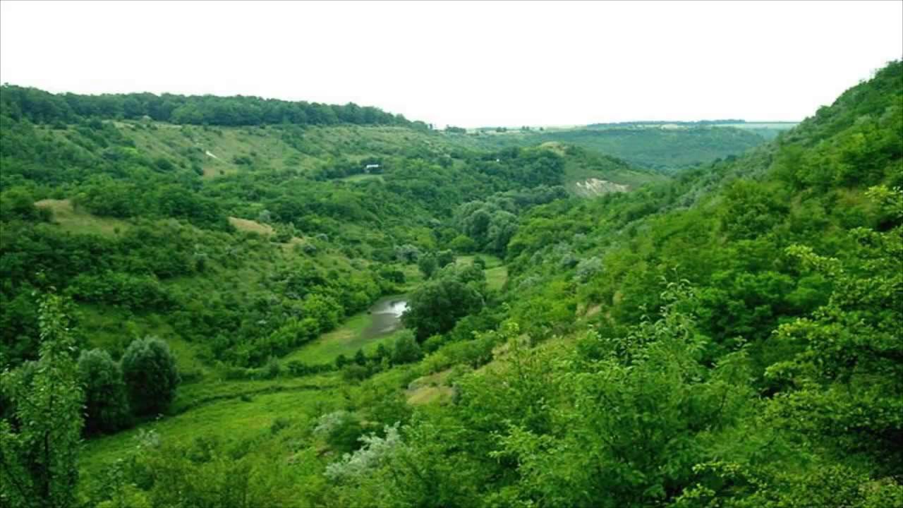 Загнитков природа