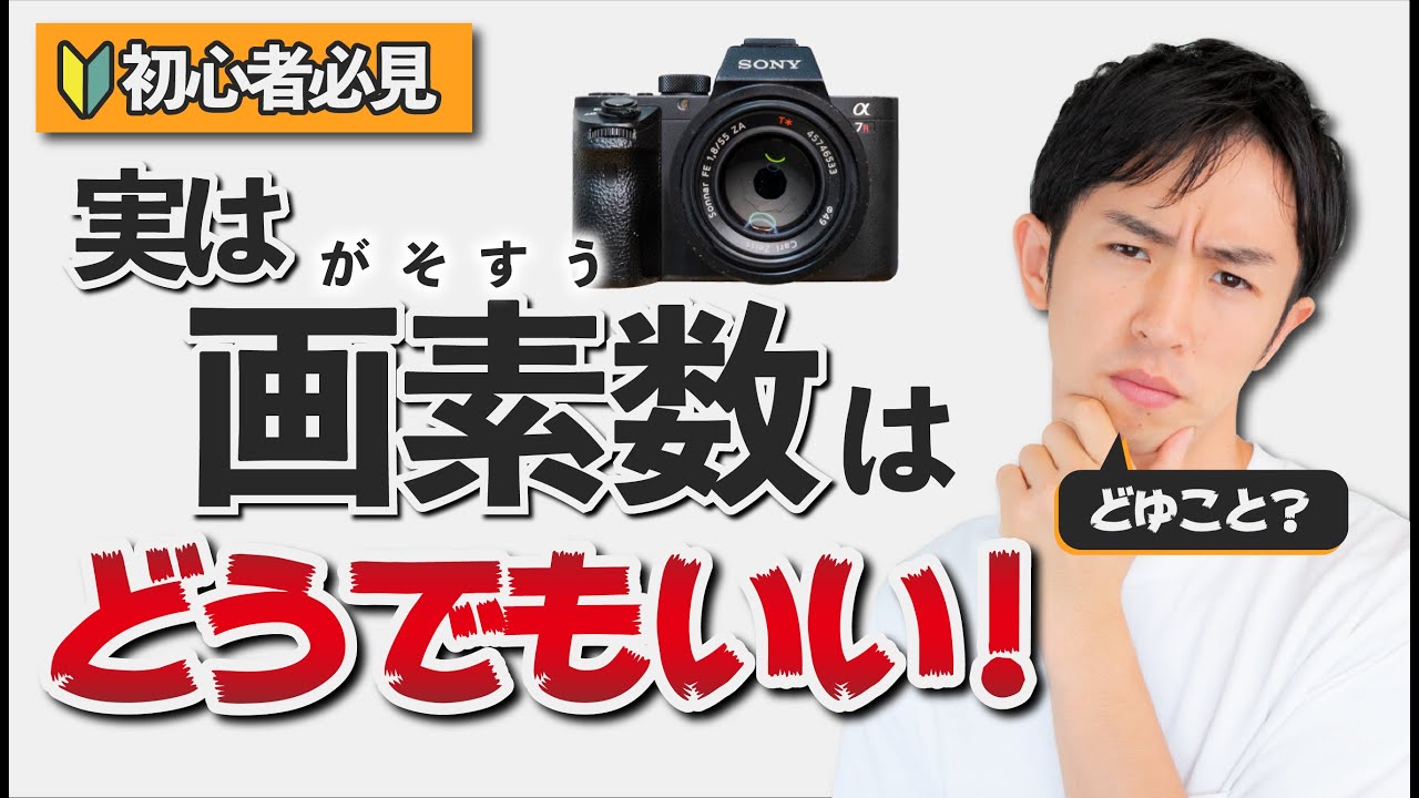 【初心者】デジカメとスマホカメラの画質の違い！①【画素数】