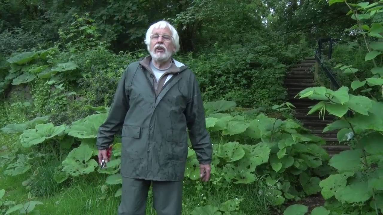 010nu - Wijktuin Ommoord bijna 45 jaar oud
