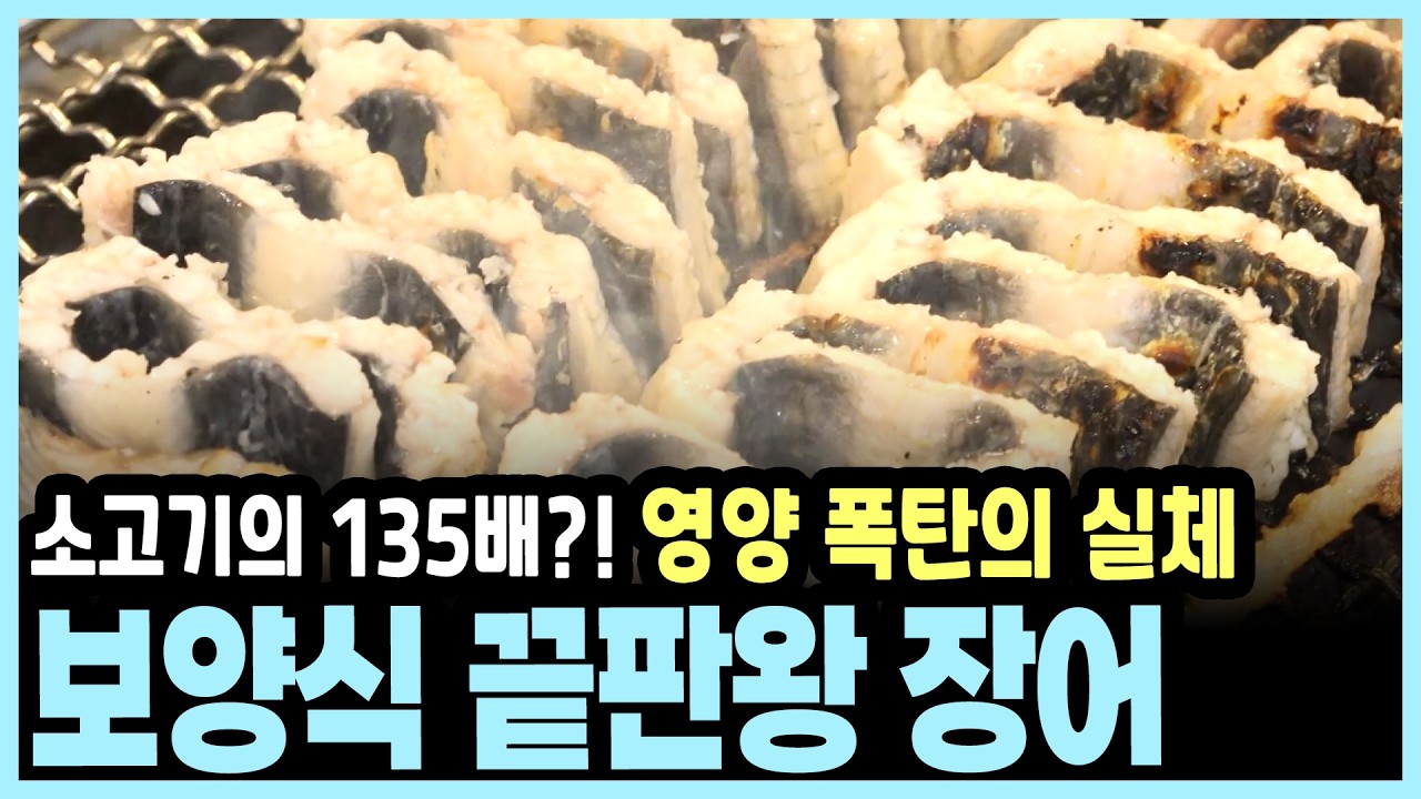 장어 먹고 복숭아 먹으면 안 되는 이유? 장어의 효능과 최악의 궁합 총정리! I KBS 건강혁명 20160510 방송