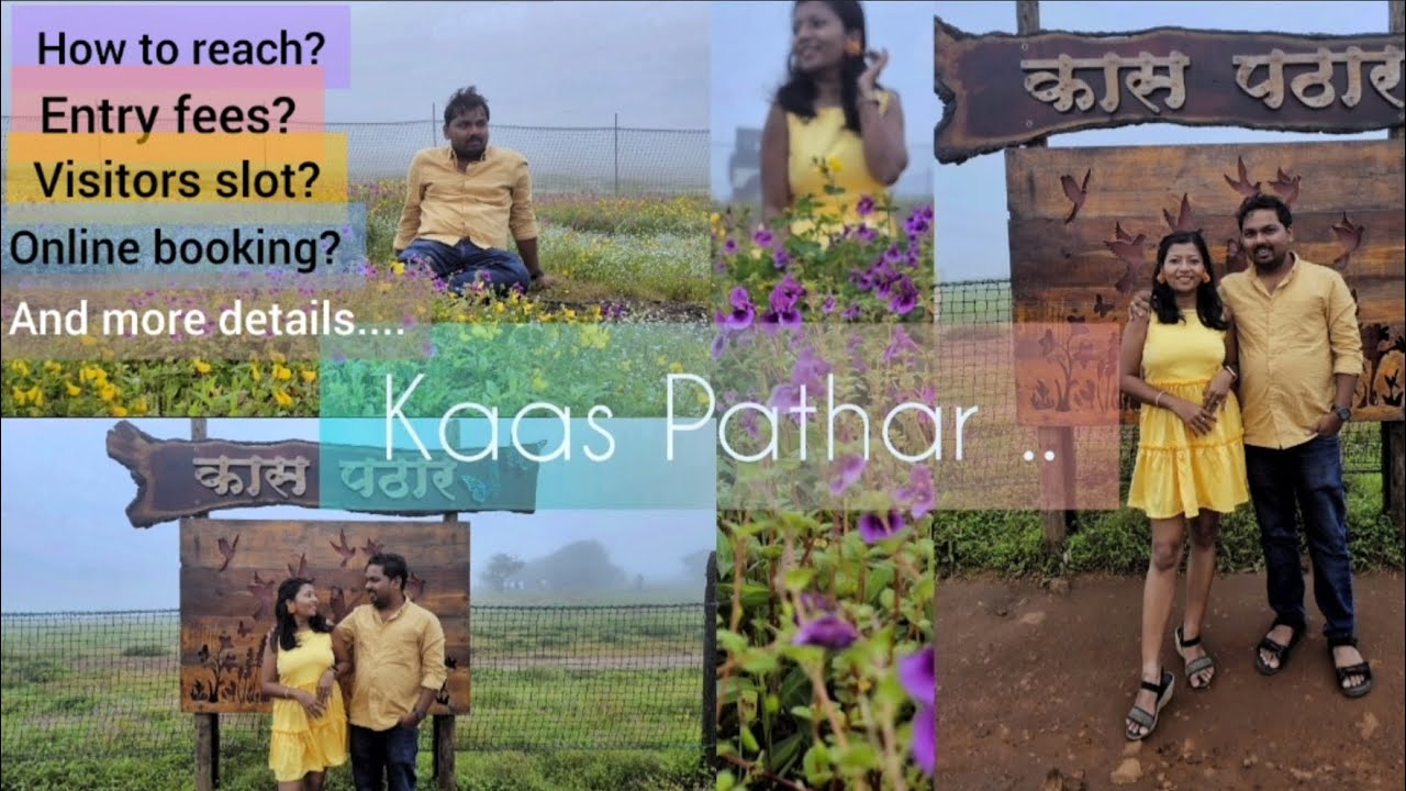 Kas Pathar Satara | Flower valley of Maharashtra | Kas Pathar 2025 vlog | TheMarathiCouple