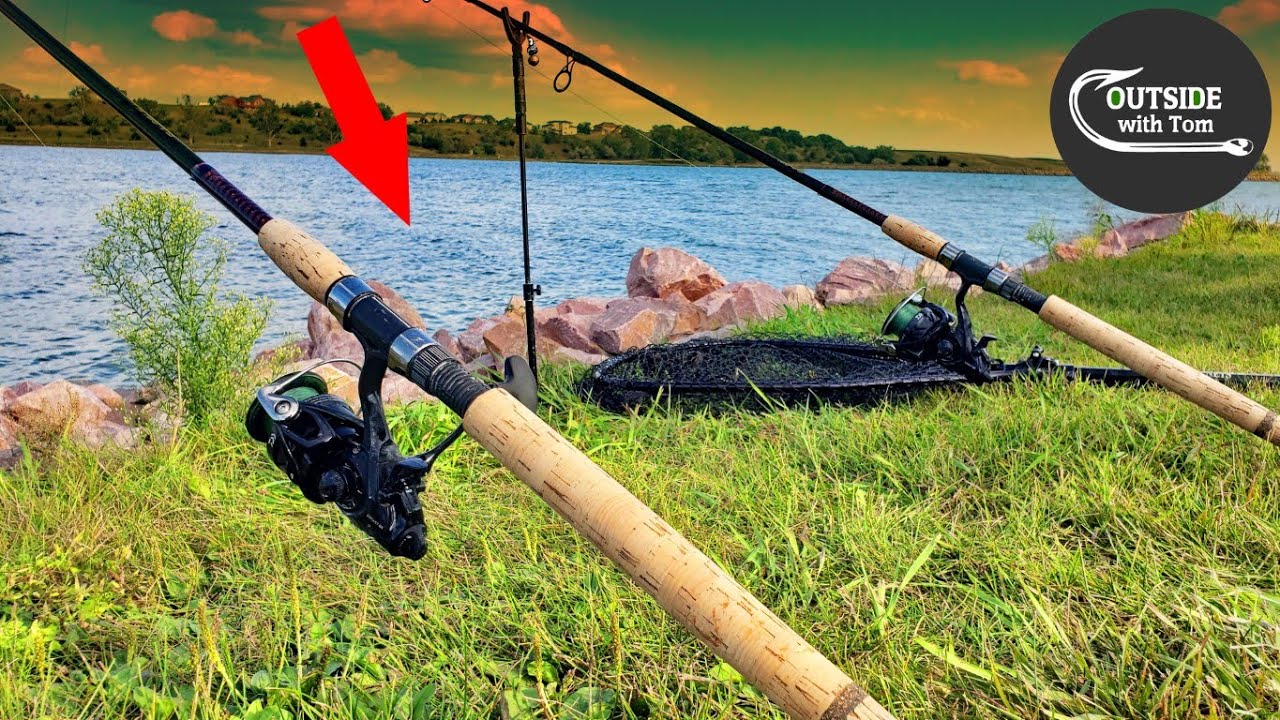 The SUNSET Carp Bite! (Early Fall Carp Fishing)
