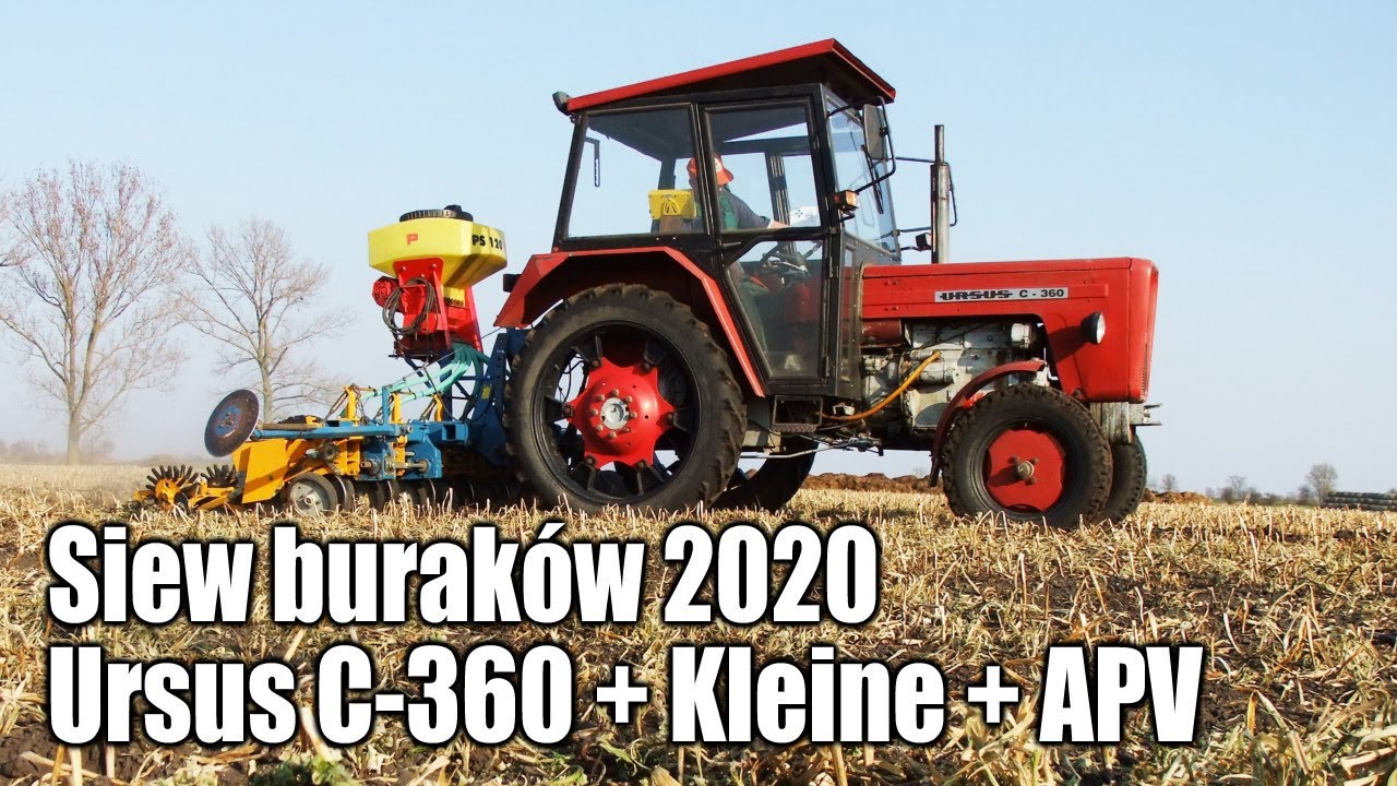 Ursus C-360 z siewnikiem Kleine + APV - siew buraków w GR Lewandowscy