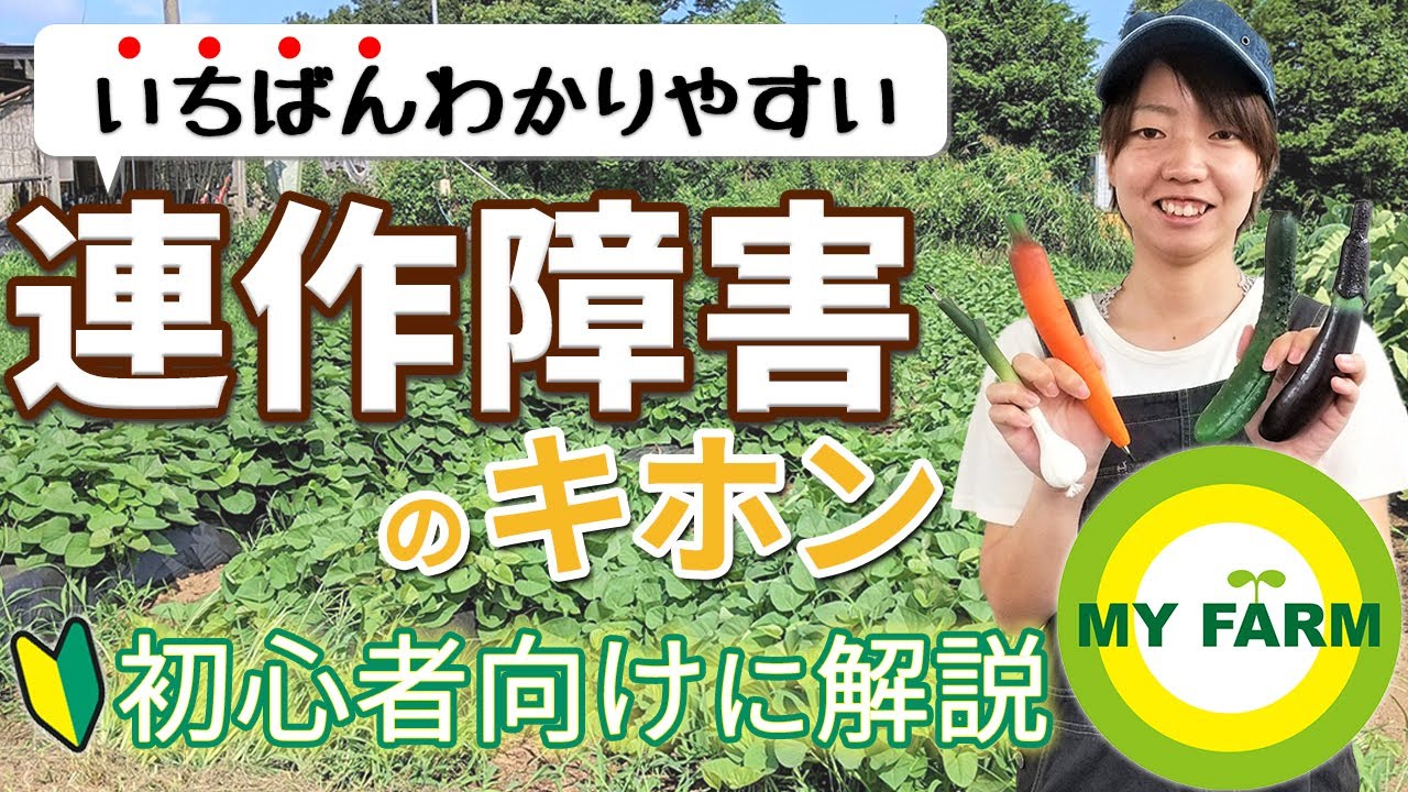 【連作障害】対策は？そもそも連作とは？基本から分かりやすく解説します│かっちゃんの有機栽培ｺｰｻﾞ