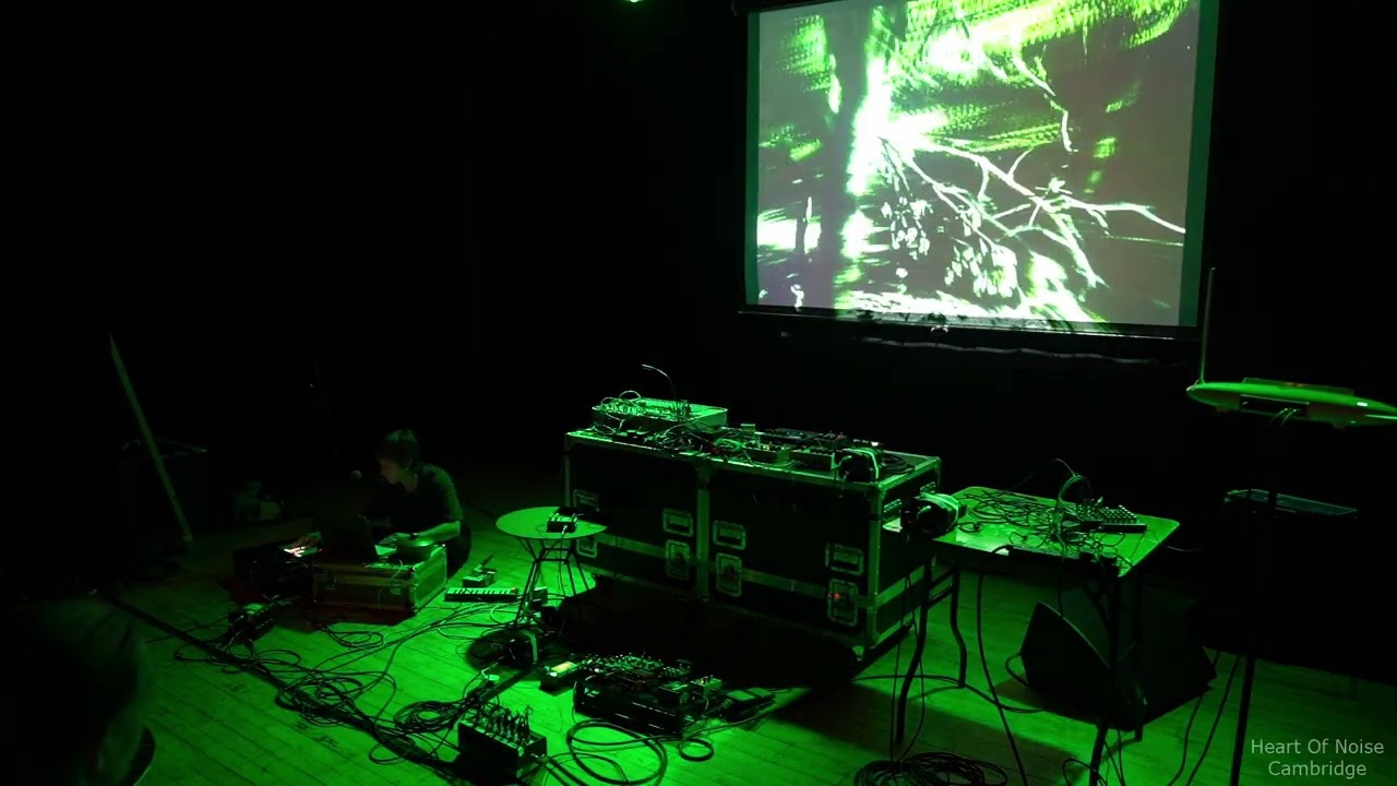 Heart of Noise Cambridge #11 - laura dymphna