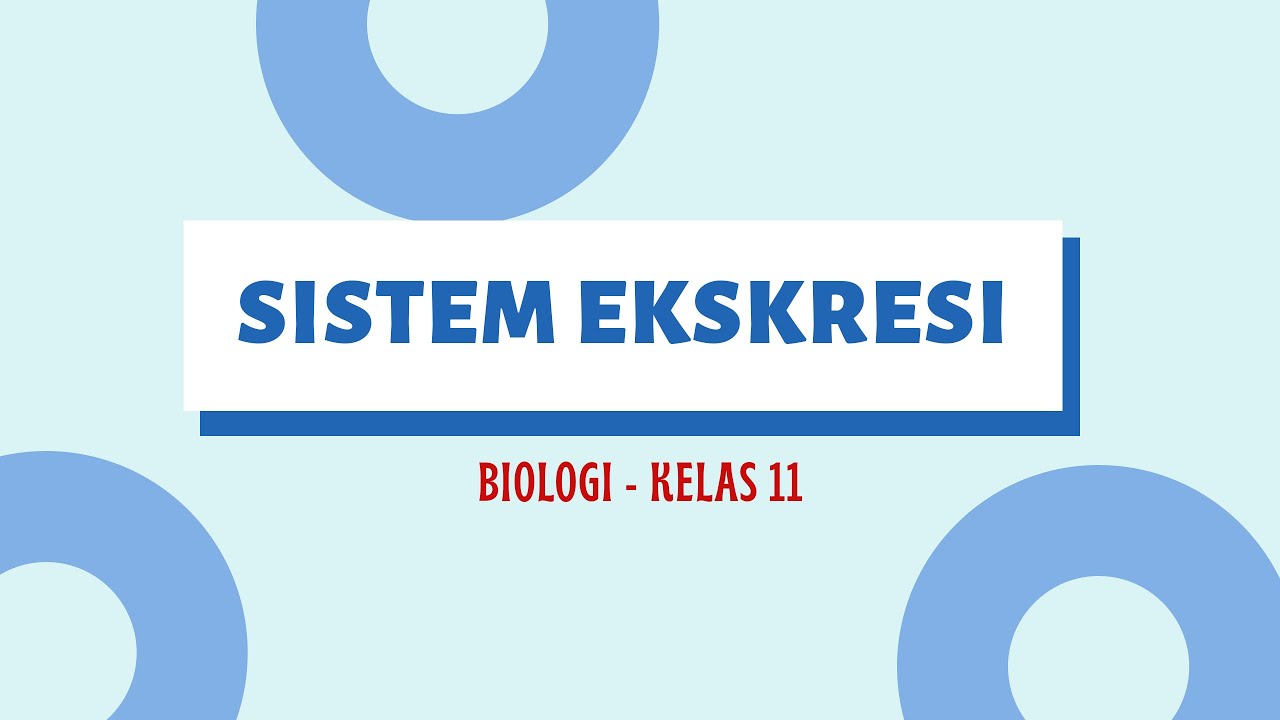 SISTEM EKSKRESI : BIOLOGI KELAS 11 SMA