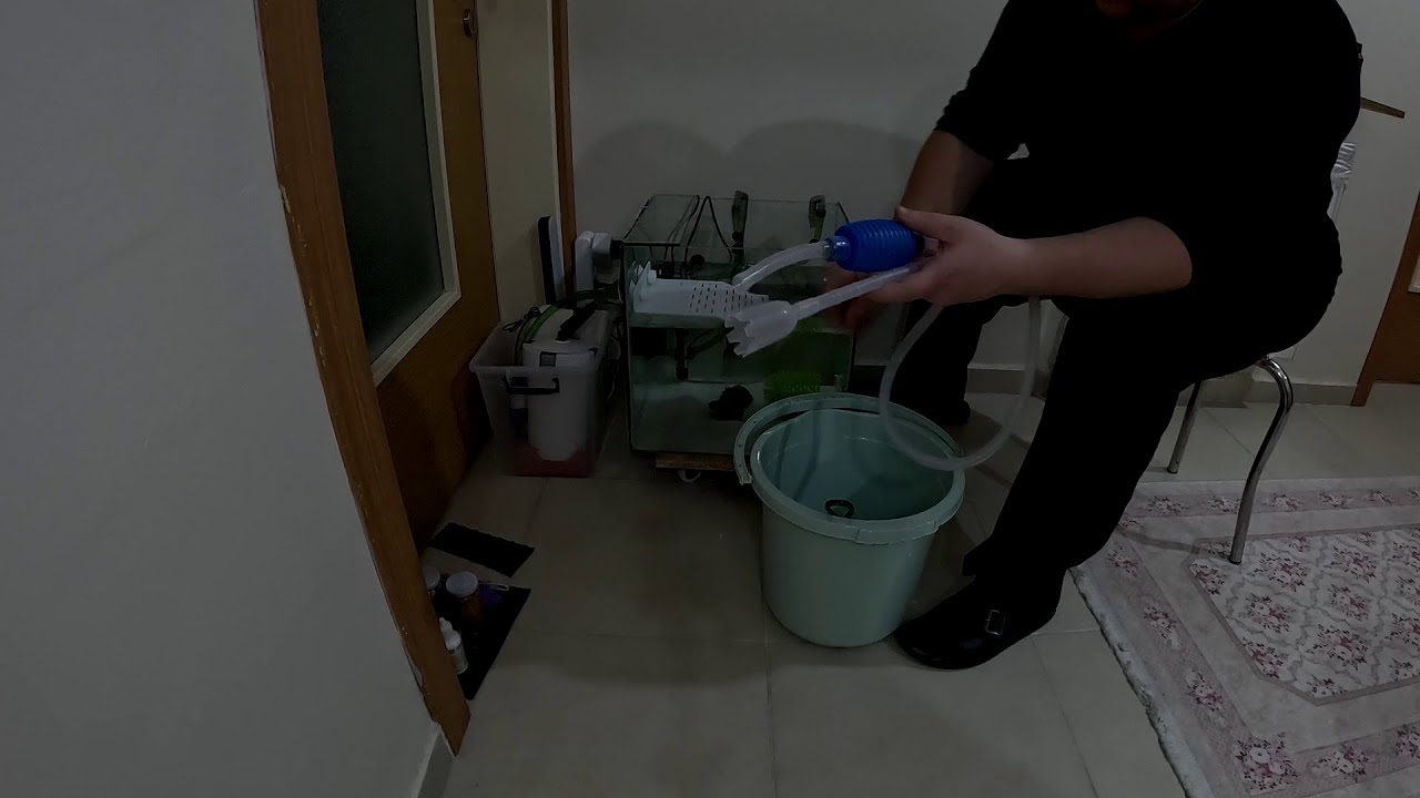 💧 Su Kaplumbağası Akvaryumunda Su Değişimi ve Dip Temizliği | Adım Adım Anlatım! #sukaplumbağası