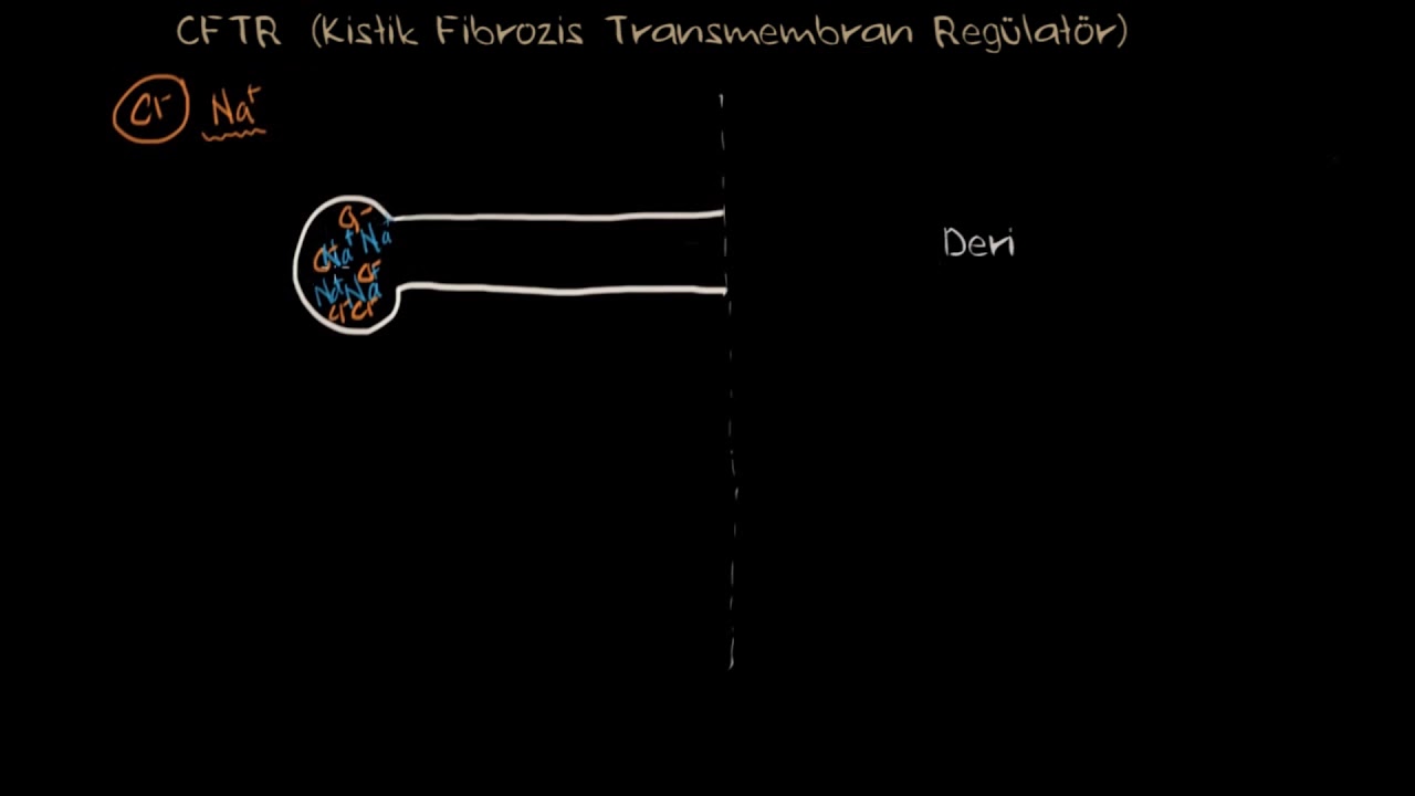 Kistik Fibrozis Patofizyolojisi (Fen Bilimleri) (Sağlık ve Tıp)