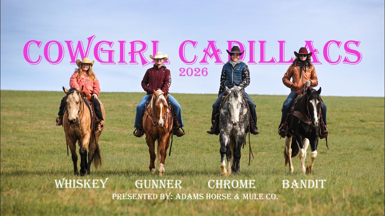 SK Drifters Chrome consigned to Cowgirl Cadillacs Sale Wickenburg, AZ Feb. 20-21st 2026