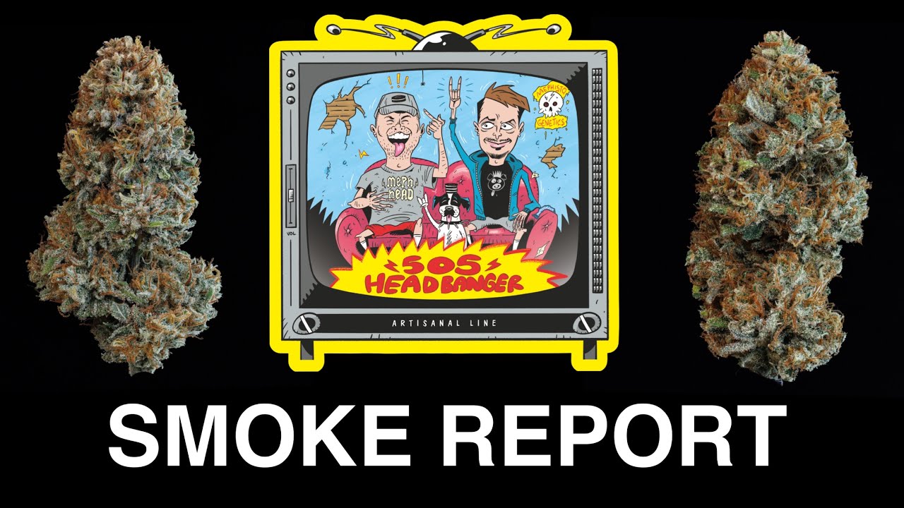 505 Headbanger Smoke Report
