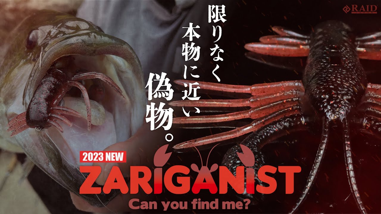 【RAID JAPAN 2023 新製品】ZARIGANIST   [新製品動画]