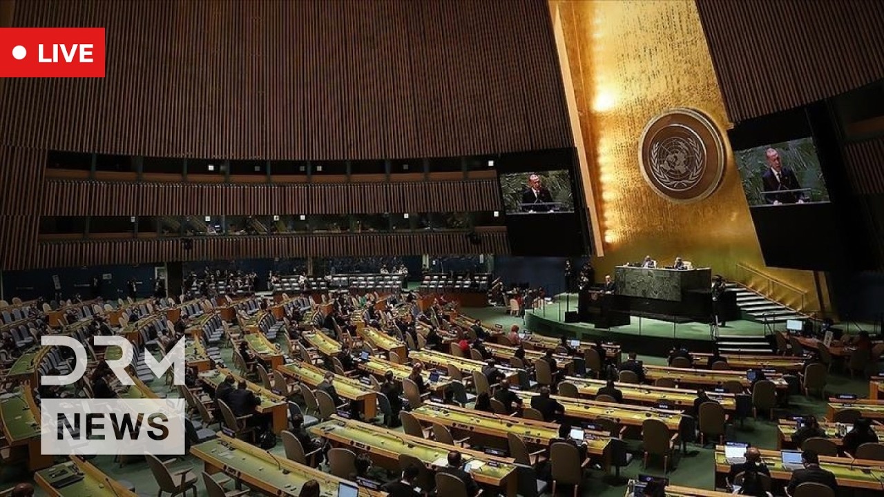 LIVE: UN Security Council Briefing on Ukraine – Fourth Anniversary of Full-Scale Invasion