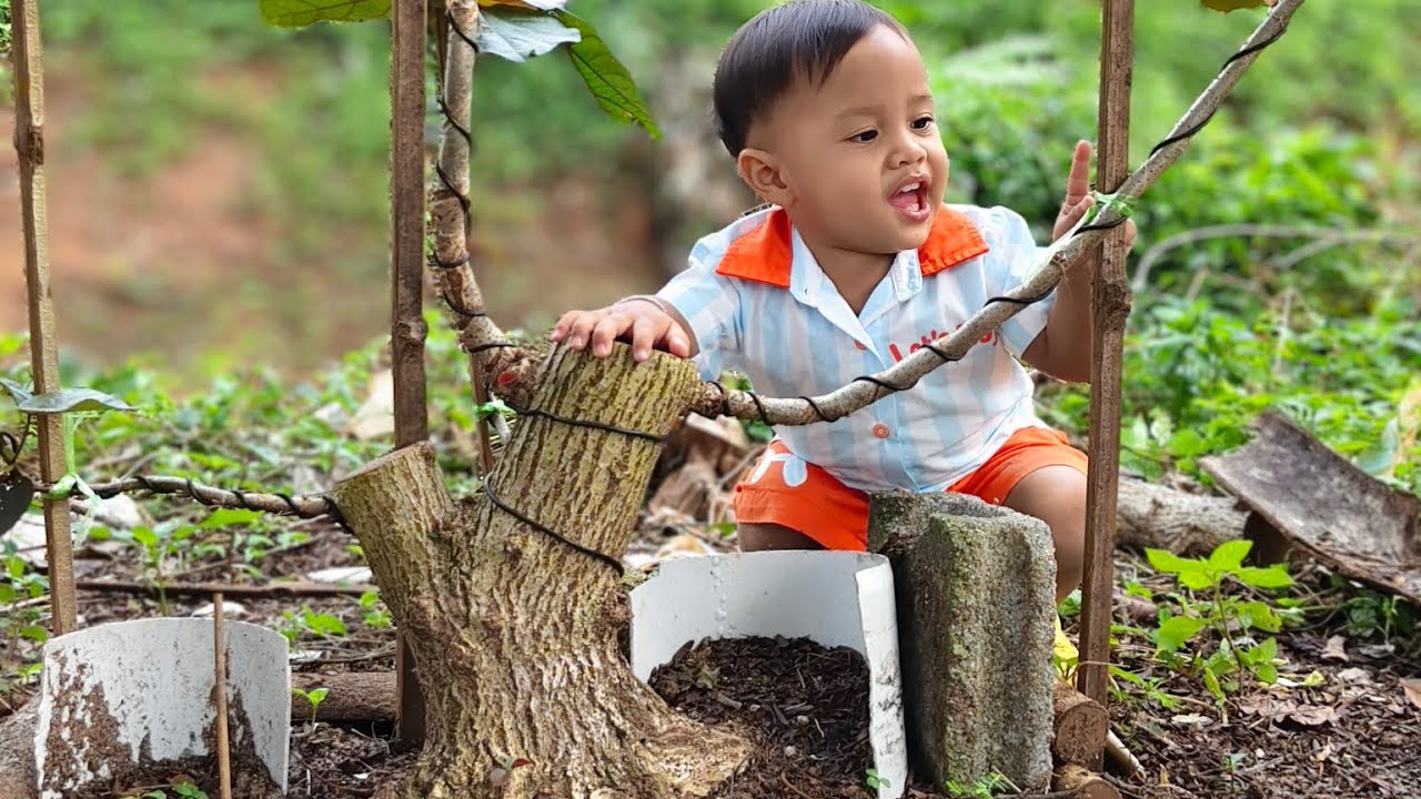  Ep.1 ตัดทดรากโพธิ์7สี ไปดูกัน #bonsai #ไม้บอนไซ #บอนไซโพธิ์ #ไอพอดบอนไซจิ๋ว @ทําไปเรื่อยสตอรี่ 