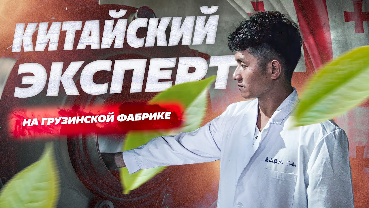 Привезли первоклассного китайского технолога на грузинскую чайную фабрику!