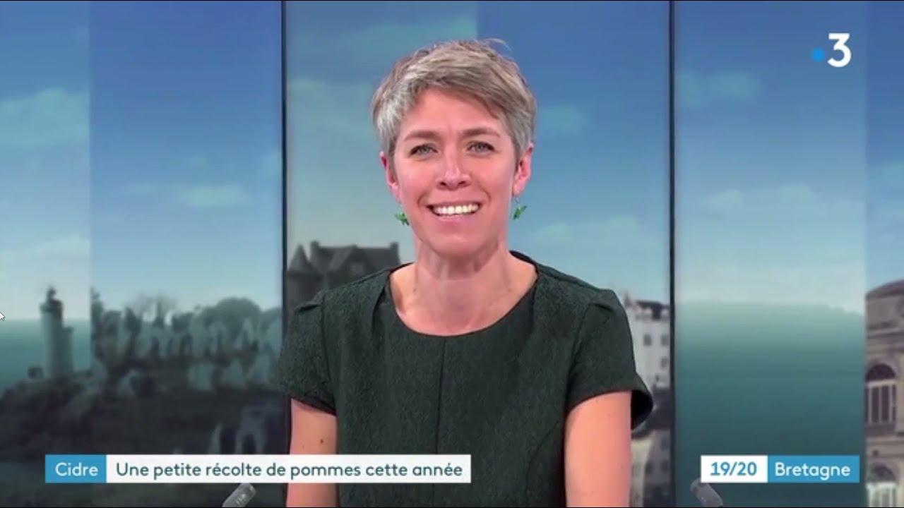 42 - FRANCE 3 BRETAGNE - RECOLTE POMMES SURZUR