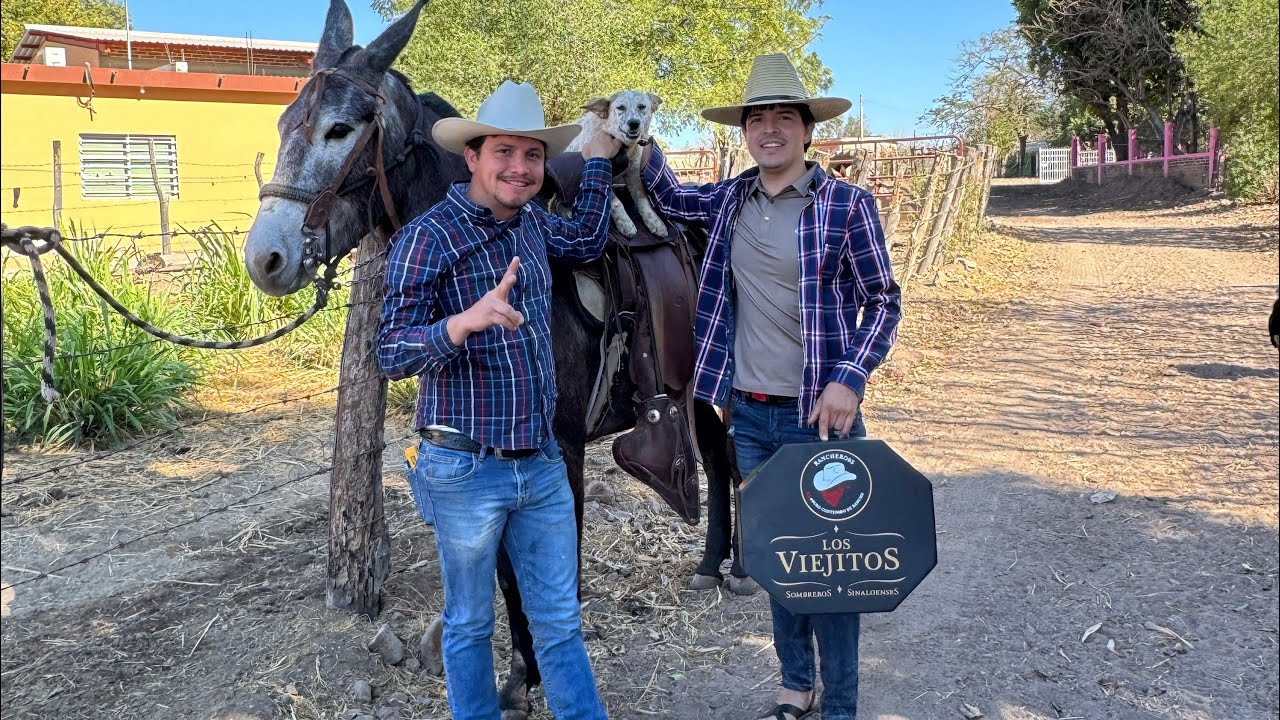 ME VISITÓ EL PILOTO Y SU ESTILO Y NOS FUIMOS A REVISAR LAS BEEFMASTER 🐄🐎🌞🌿🌳#ranchero95
