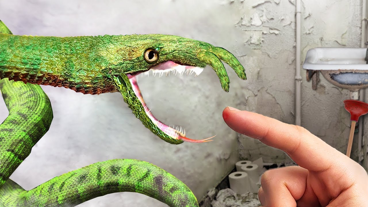 Giftige FÜHLERSCHLANGE in Bangkok! Was verbirgt die Hauptstadt Thailands in ihren Wasserkanälen?