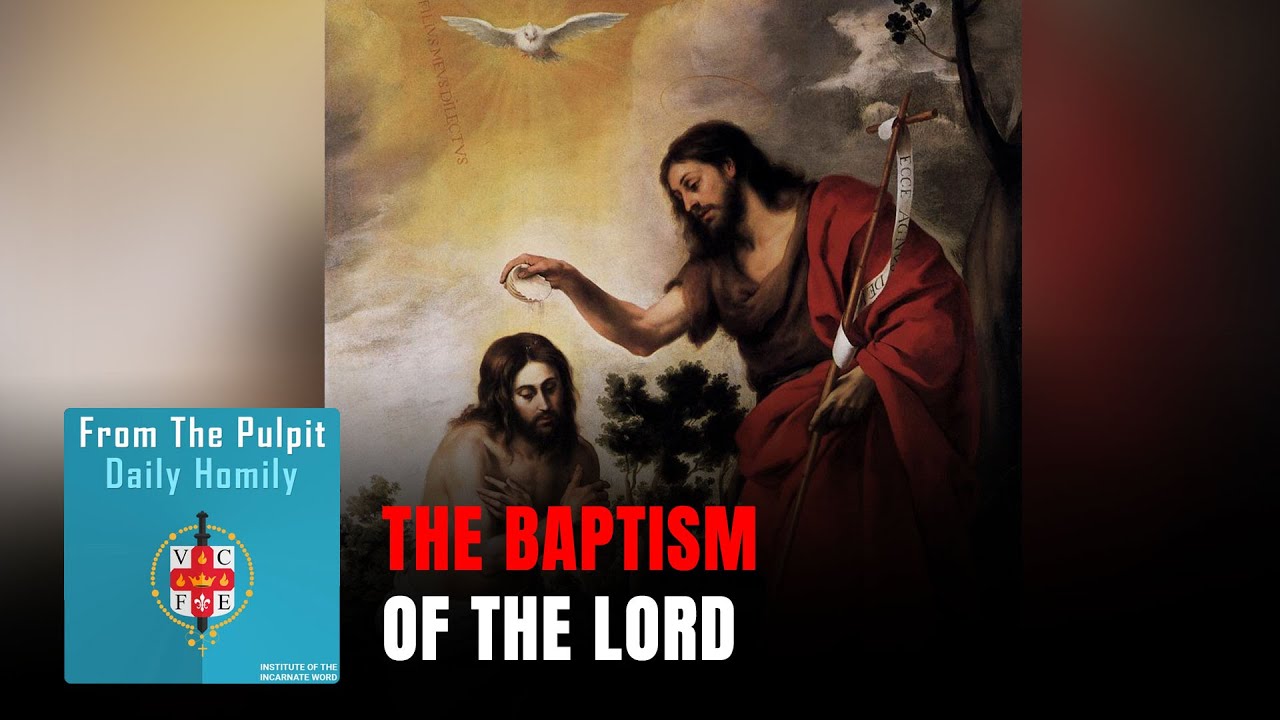 Daily IVE Homilies, January  11th, 2026 - The Baptism of the Lord