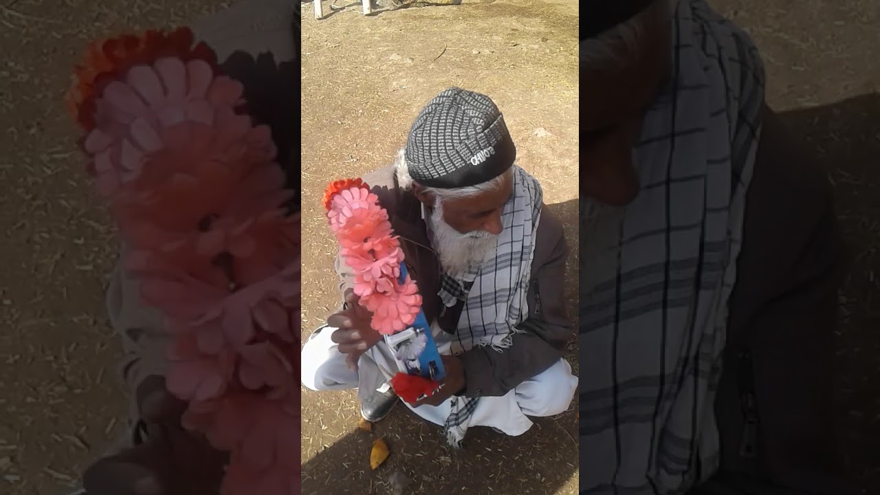 mast boda rabab tank takor