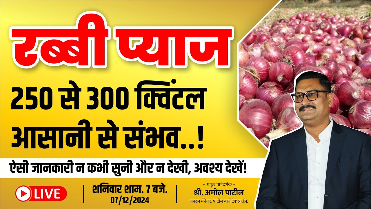 रब्बी प्याज 250 से 300 क्विंटल आसानी से संभव ! rabbi pyaj 250 se 300 qwintal aasani se sambhav