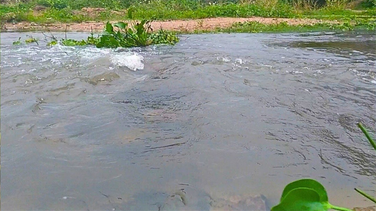 O Rio começa a subir, depois das fortes chuvas