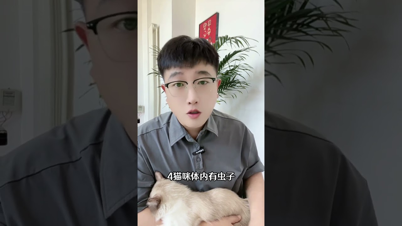养猫一定要知道，这8个养猫小技巧。让你养猫省钱更省心。If you want to raise a cat, you must know these 8 tips for raising a cat.
