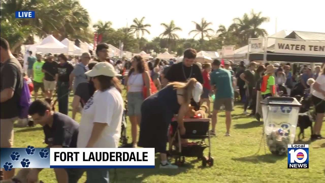 Hundreds turn out in Fort Lauderdale for VCA Walk for the Animals. Here's how you can help