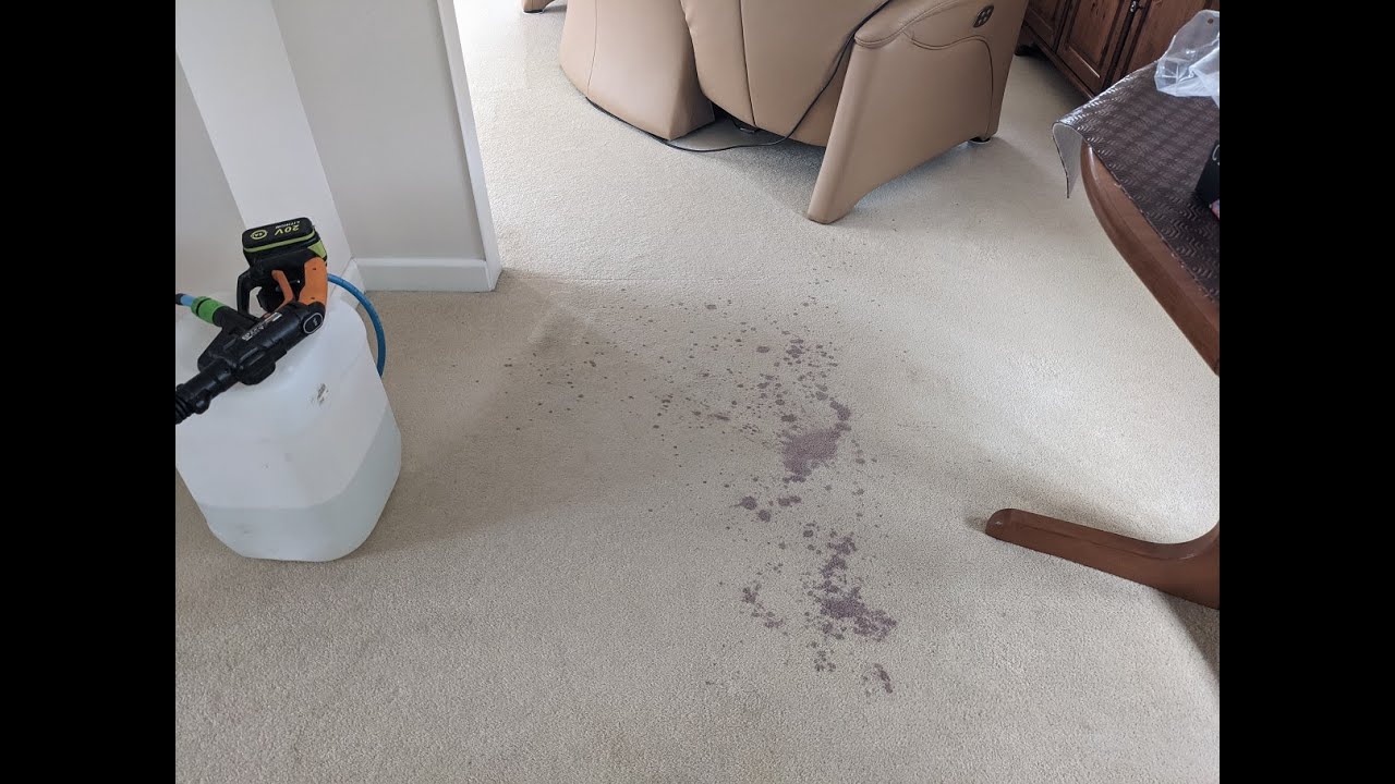 Wool carpet cleaning with wine stain removal