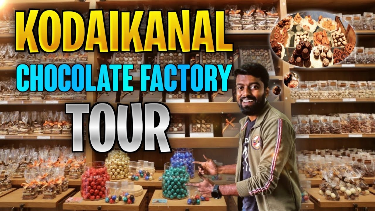 Chocolate Factory Tour !! Eucalyptus Oil Fire Test & Homemade Wine | DAN JR VLOGS