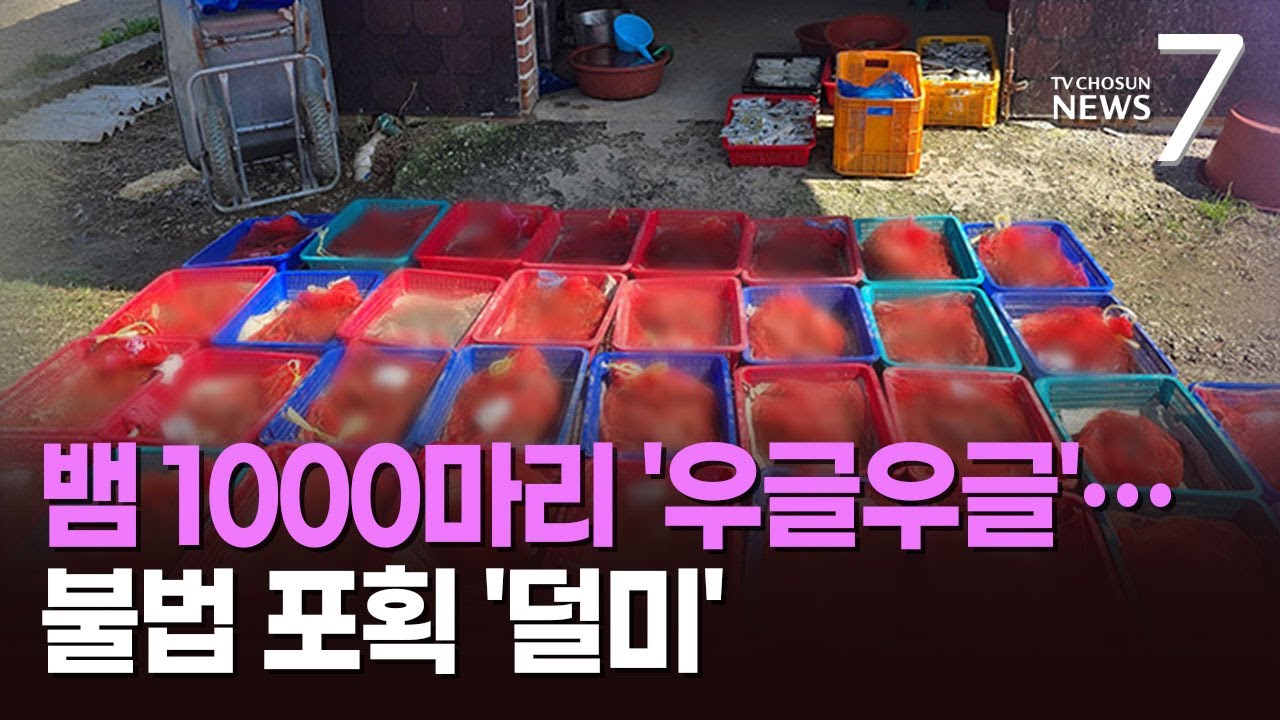 1000 живых змей роятся... &laquo;Основные покупатели &mdash; молодые спортсмены&raquo; [Новости 7]