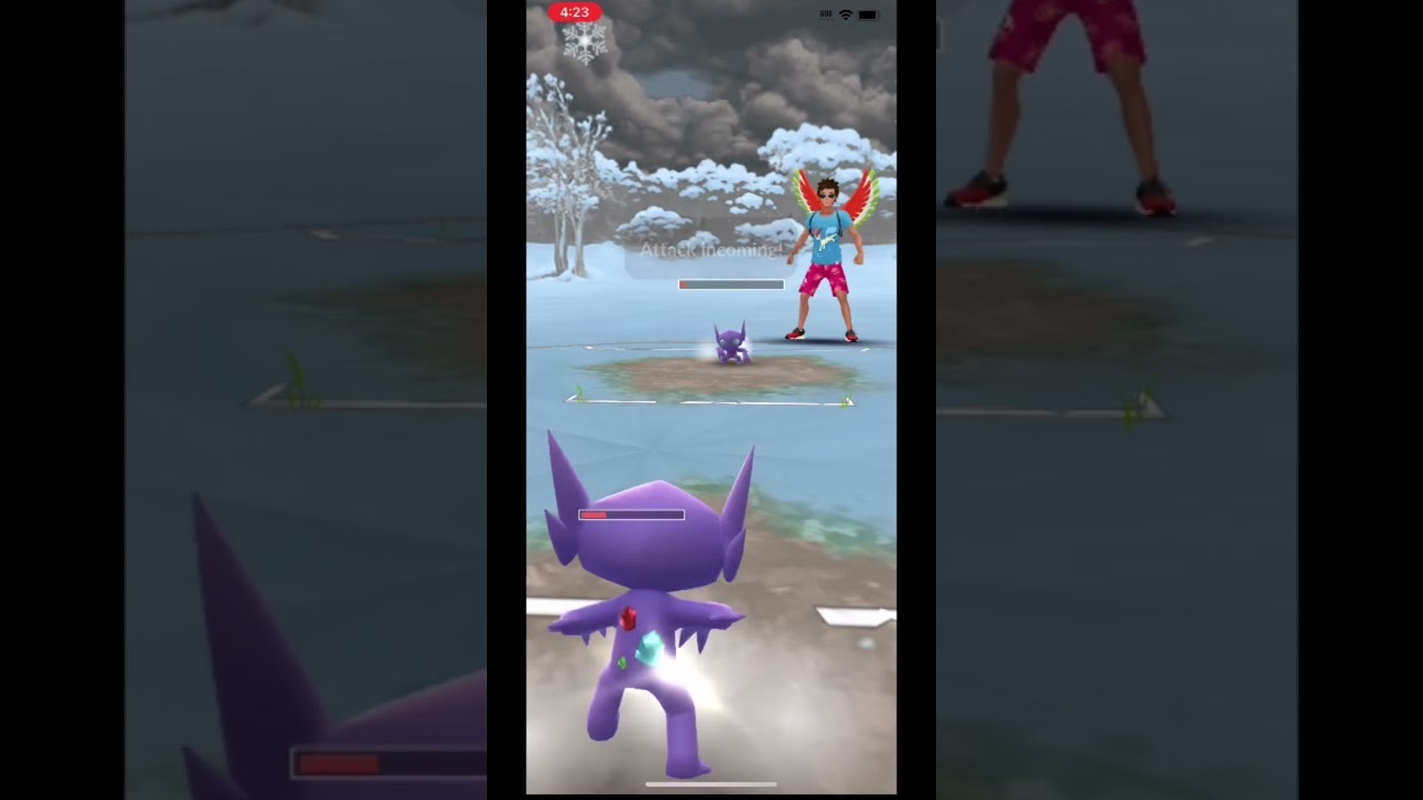 Registeel 1v3’d in the hoenn cup 
