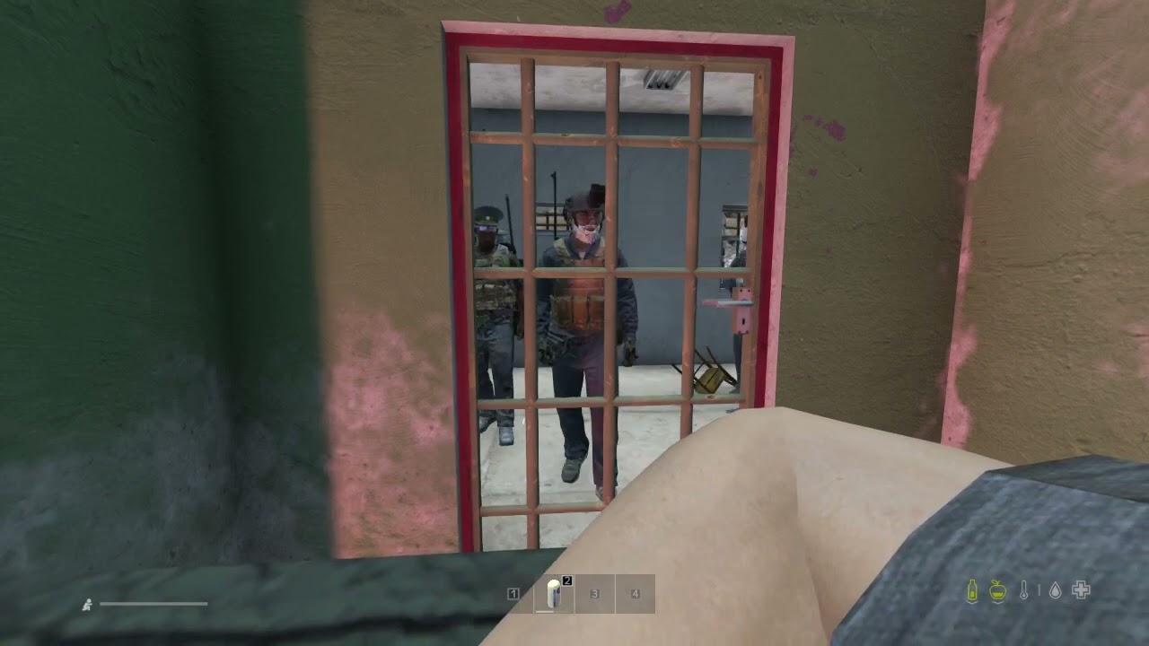Getting Arrested in DayZ (PNW)