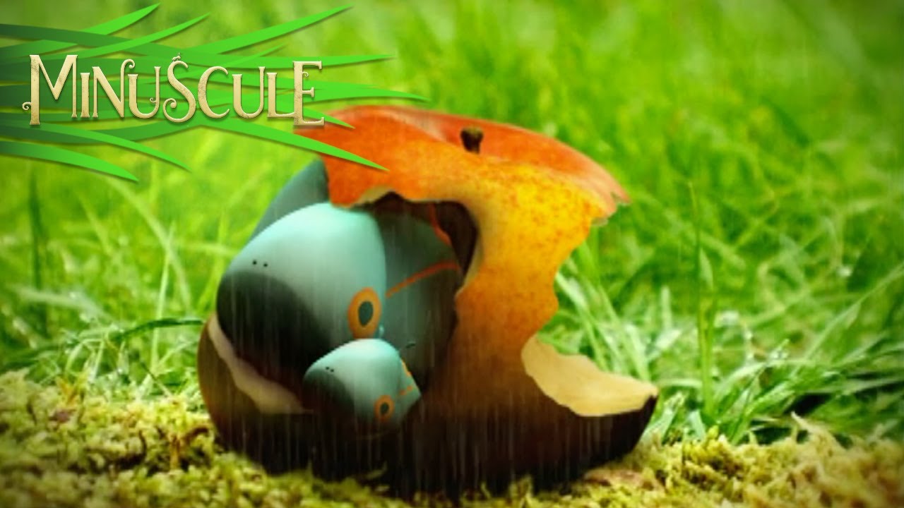 Minuscule - Deux chenilles/Caterpillars in Pairs (Season 1)