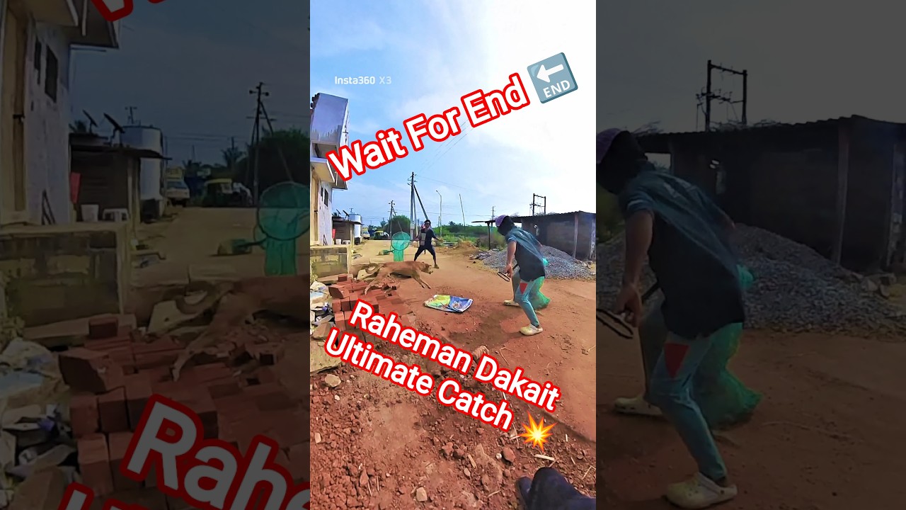 Raheman Dakait Unbelievable Dog Catchers 