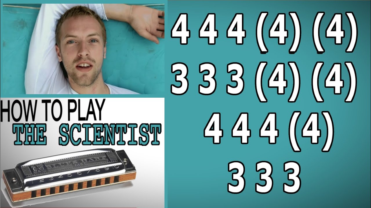 THE SCIENTIST HARMONICA ( C DIATONIC ), ARMÓNICA C, BLUES HARP C, GAITA DE BOCA C, MUNDHARMONIKA C