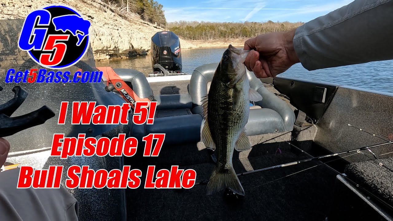 Bull Shoals Lake Bass Fishing - I Want 5! #arkansasbassfishing #bullshoalslake #bassfishing