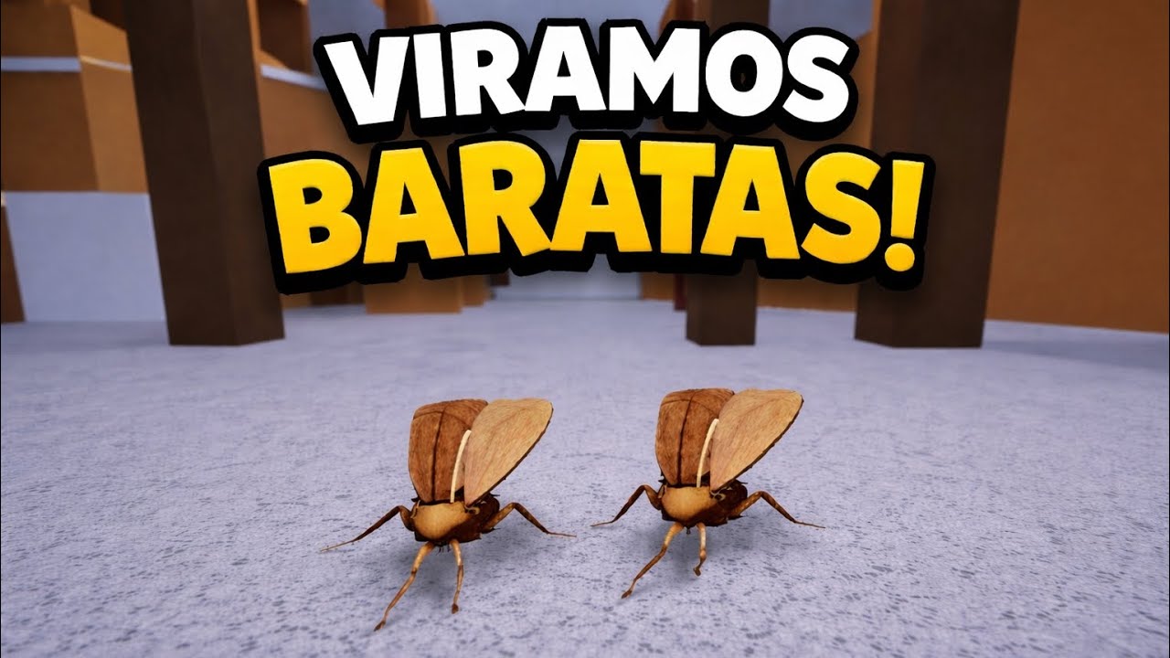 Baratas brincando pela casa 