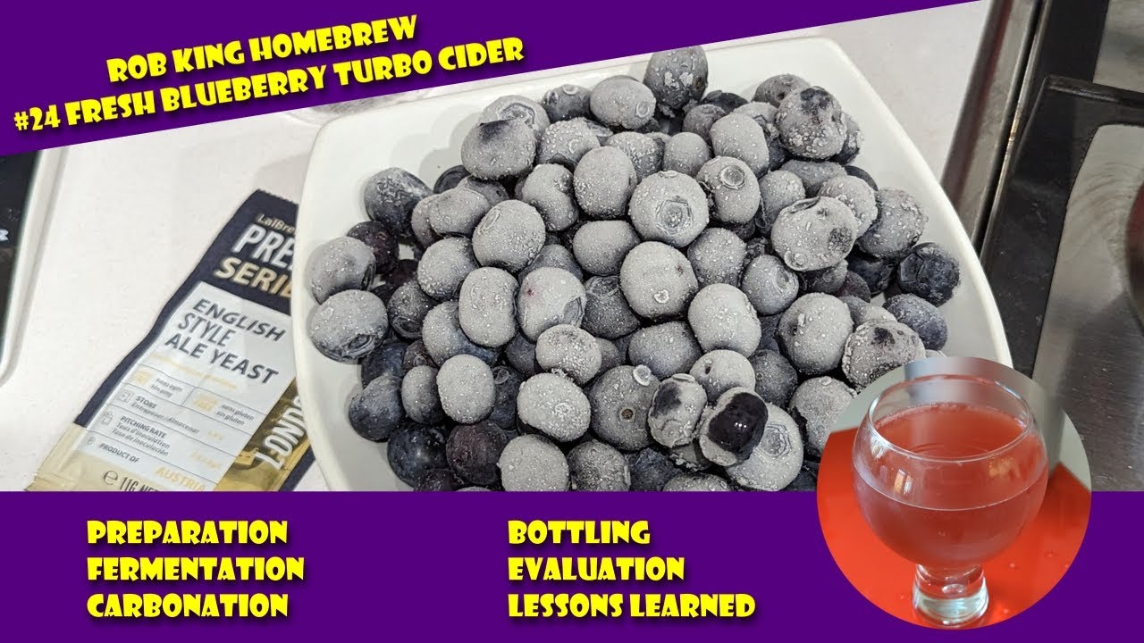 s24 Blueberry Turbo Cider (Preparation, Fermentation, Carbonation, Bottling, Lessons and Evaluation)