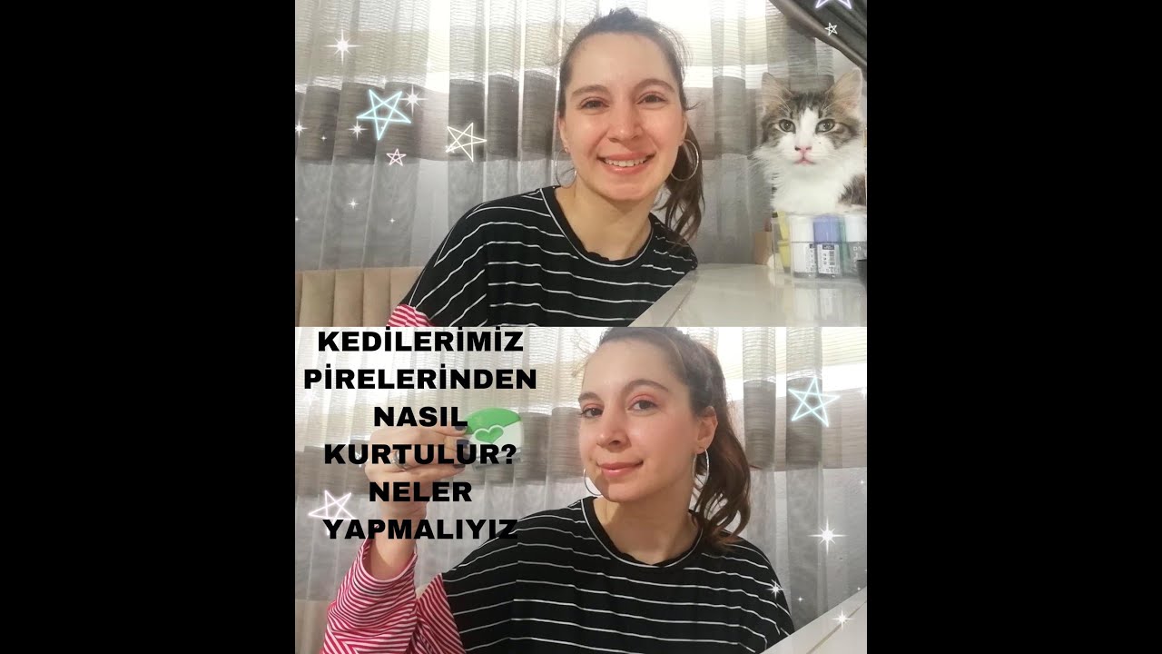 KEDİMİZ PİRELERİNDEN NASIL KURTULUR, NELER YAPMALIYIZ?? EYVAH KEDİM PİRELENDİ!🐈