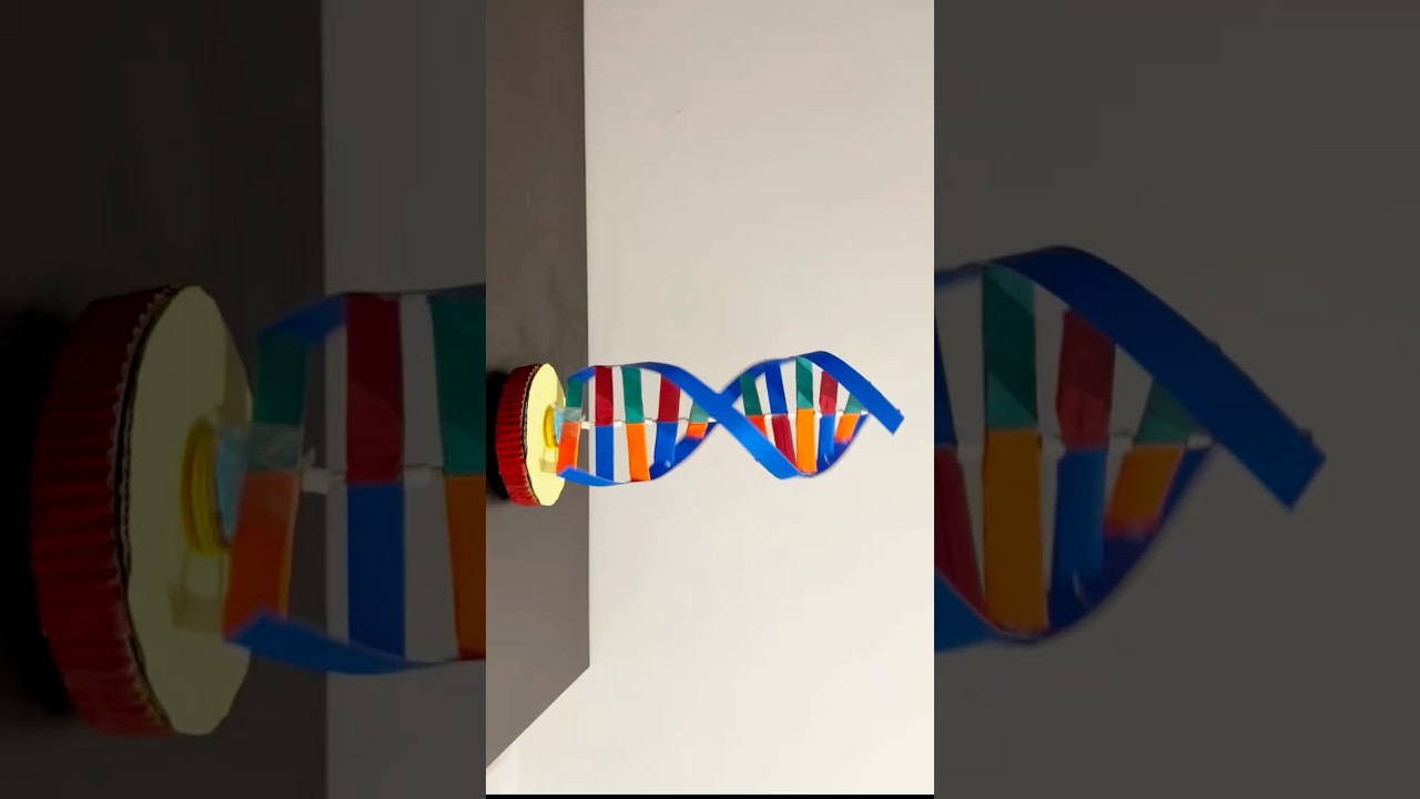 DNA working model with cardboard / 3D DNA Science projects / building a 3D model of DNA/ shorts