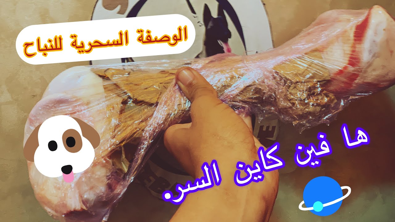 - #كيفاش #ربي #كلب #بنجاح #بدون #عراقل #مع #ساكنة #و #حتى #أسرتي #ها #هو #الحل 💯😎💪🏻