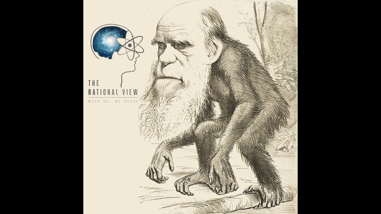 Summary of Evolution and Creationism