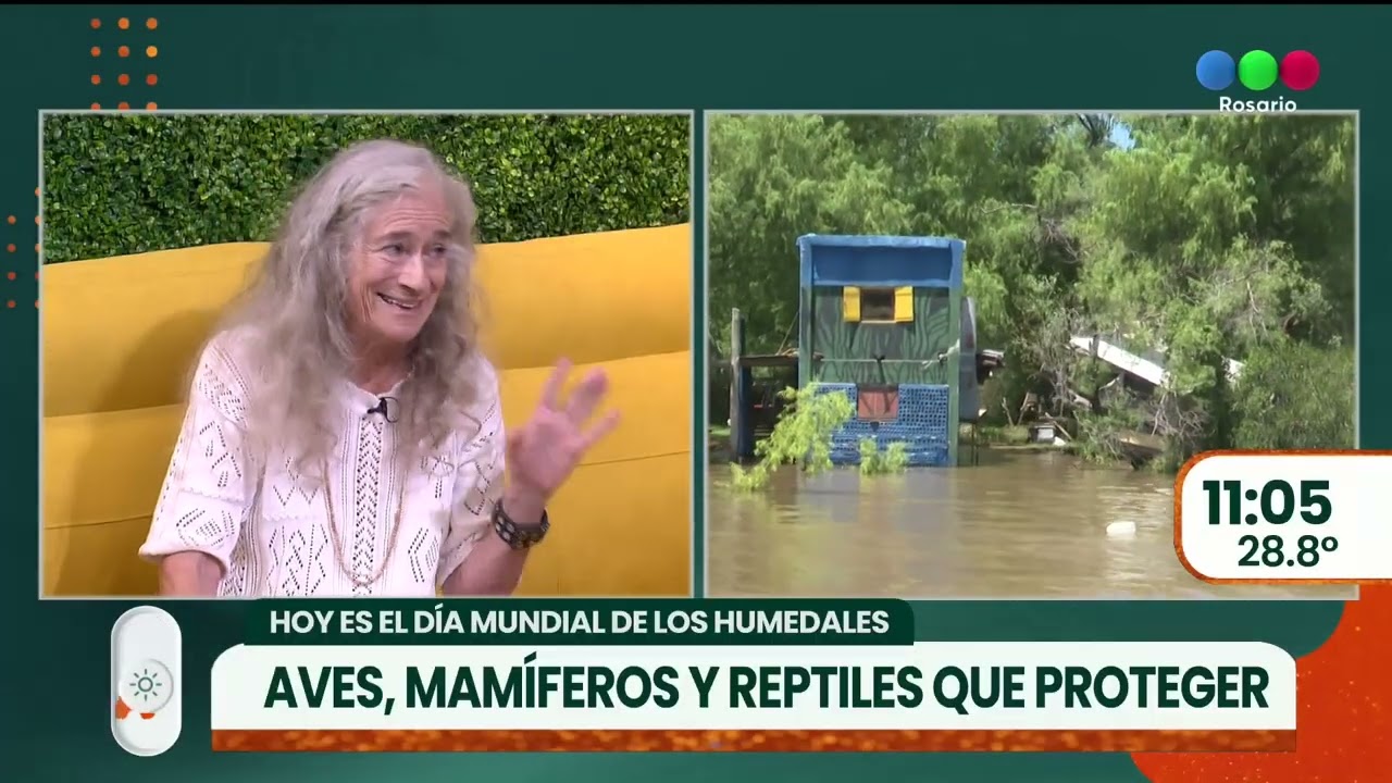 Conocer nuestras fauna para respetarla ► TELEFE ROSARIO