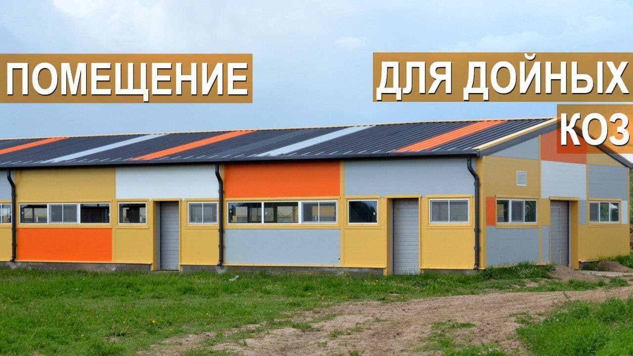 Помещение для дойных коз. Ошибки при строительстве. Фермерское хозяйство Былинкино